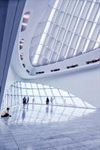 Musings on Calatrava Design 2, Milwaukee (Matted) by Howard Fineman
