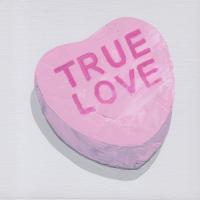 Sweet Heart Singles: TRUE LOVE by Nicci Sevier-Vuyk