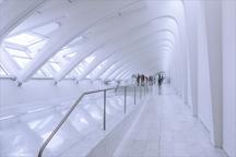 Musings on Calatrava Design 6, Milwaukee (Framed) by Howard Fineman